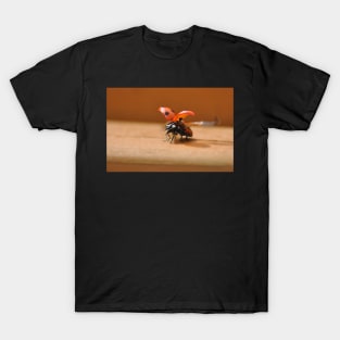 She's back the Ladybird has landed T-Shirt